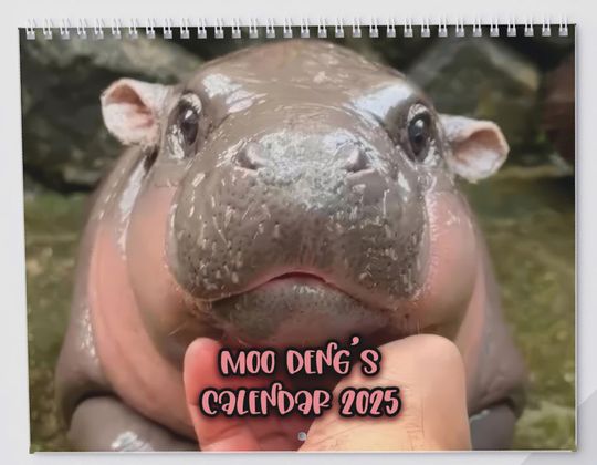 Discover Moo Deng 2025 Wall Calendar, Cute Baby Pygmy Hippo Hippopotamus