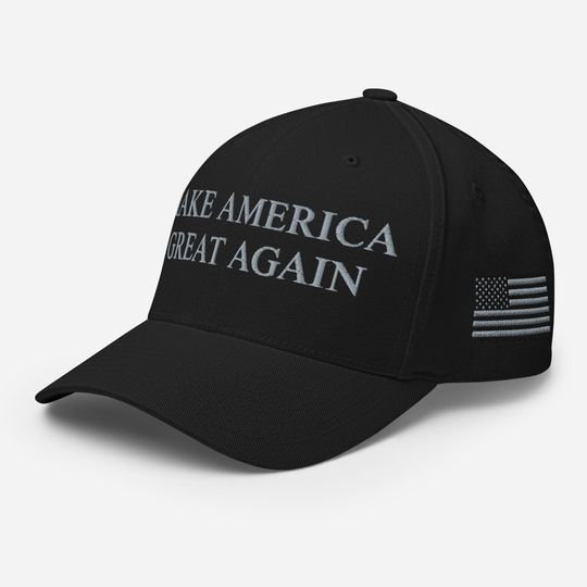 Discover Blackout Maga Hat, Subtle Blackout Embroidered Structured Flexfit Cap