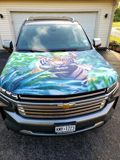 Discover Tiger Auto Hood Cover | Hood Flags |Naturalist | The Jungle