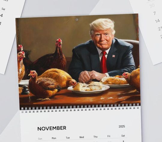 Discover Trump 2025 Funny Wall Calendar - Gag Gift Idea
