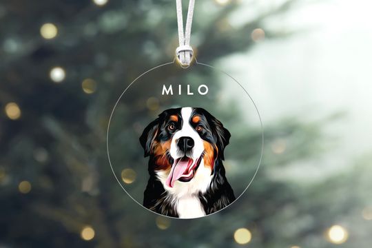 Discover Personalized Pet Ornament, Custom Dog Ornament, Gifts for Pet Lovers