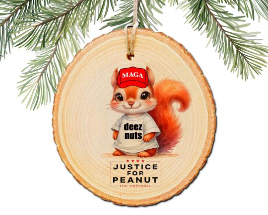 Discover Justice for Peanut the Squirrel, PNut The Squirrel Christmas Ornament
