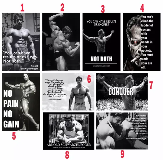 Discover Custom Arnold Schwarzenegger Fitness, Motivational Gym Poster