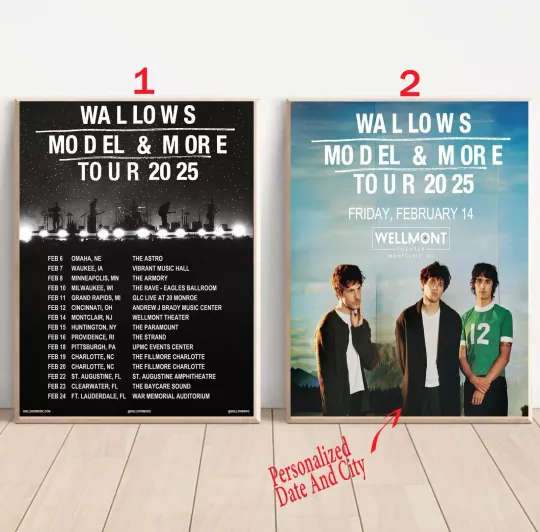Discover Custom Wallows Model & More Tour 2025 Poster