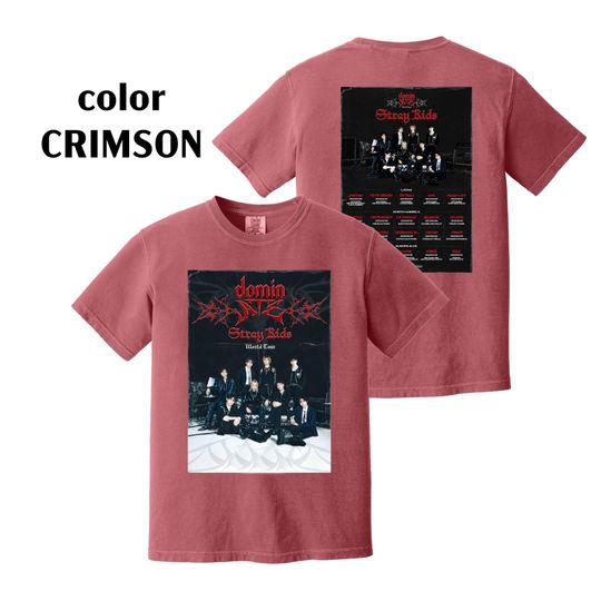 Discover Stray Kids World Tour 2025 Tshirt , dominATE SKZ Tshirt, Comfort Colors Tshirt,Stray Kids World Tour 2025 Announcement Tshirt