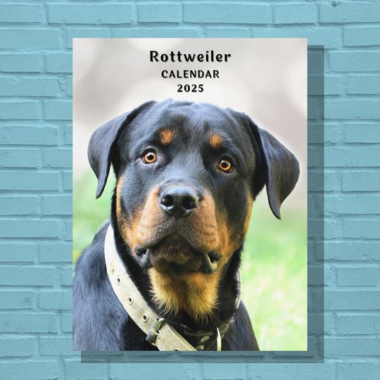 Discover Rottweiler 2025 Calendar, Wall 2025 Calendar, Monthly Wall Calendar