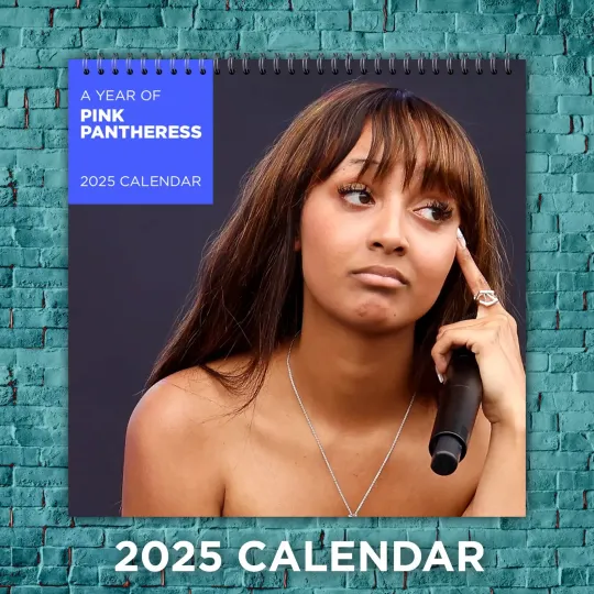Discover PinkPantheress 2025 Music Calendar, 12-Month Celebrity Wall Calendar, Fan Gift
