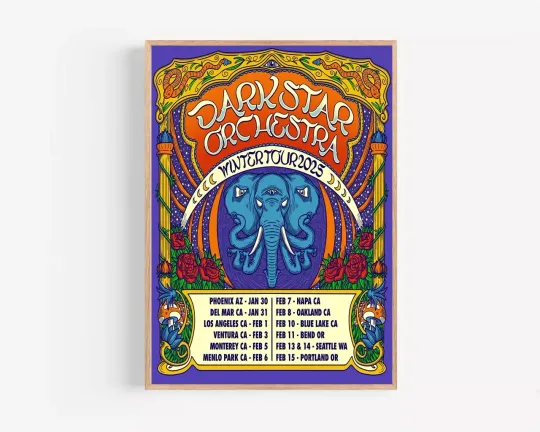 Discover Dark Star Orchestra Winter Tour 2025 Poster