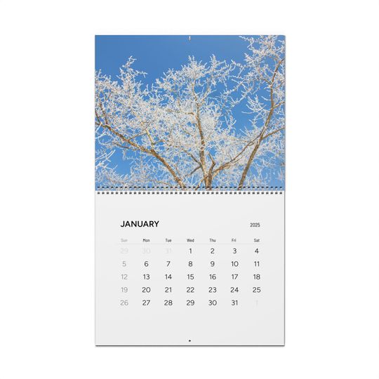 Discover 2025 Wall Calendar, Flower Theme Wall Calender for 2025