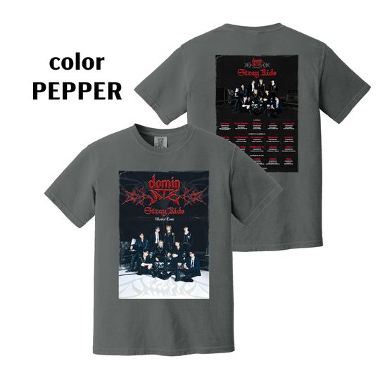 Discover Stray Kids World Tour 2025 Tshirt , dominATE SKZ Tshirt