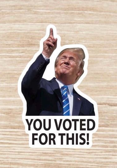 Discover Trump You Voted For This Sticker