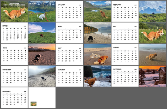Discover Dogs Pooping in Beautiful Places 2025 Calendar - Great Gag Gift White Elephant Secret Santa Dog Lovers
