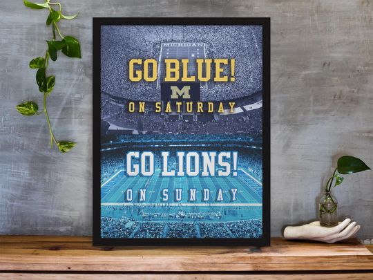 Discover Go Blue! on Saturday, Go Lions! on Sunday AirFrame Wall Art