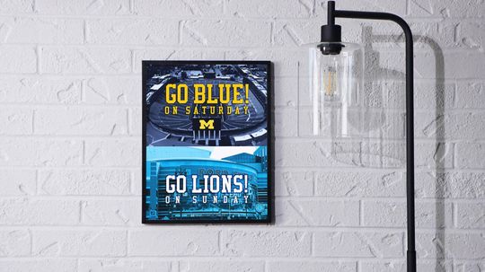 Discover Go Blue on Saturday, Go Lions on Sunday AirFrame Wall Art
