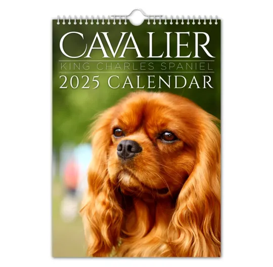 Discover Cavalier King Charles 2025 Calendar - Birthday Gifts- Christmas Gifts- Dog Gifts