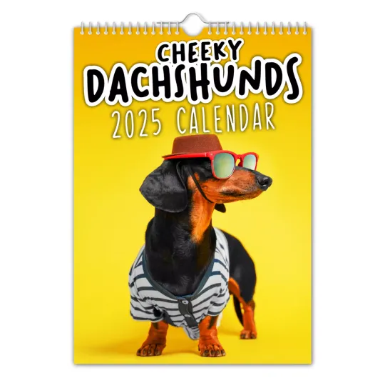Discover Cheeky Dachshunds 2025 Wall Calendar Animal - Pet - Dogs - Pooches