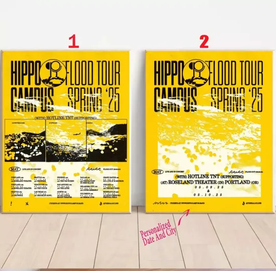 Discover Custom Hippo Campus - FLOOD Tour 2025 US Poster, Gift For Fans