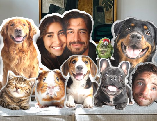Discover Custom Pillow, Personalized Shaped Pillow, Pet 3D Pillow