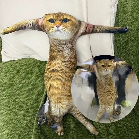 Discover Weird Pet Pillow, Custom Cat Pillow, Personalized Pet Pic Pillow