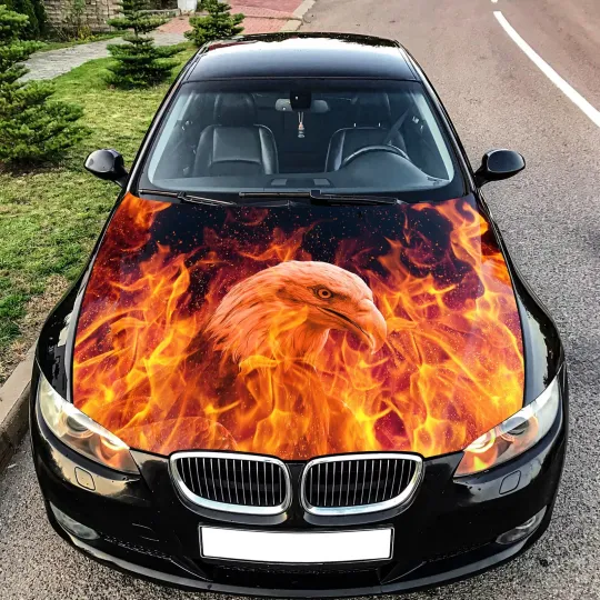 Discover Bald Eagle Flames Car Auto Hood Covers Full Color Graphic Fit Any Car