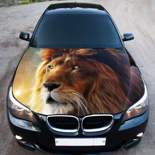 Discover Car Auto Hood Covers Full Color Graphic Lion Abstract Fit Any Car