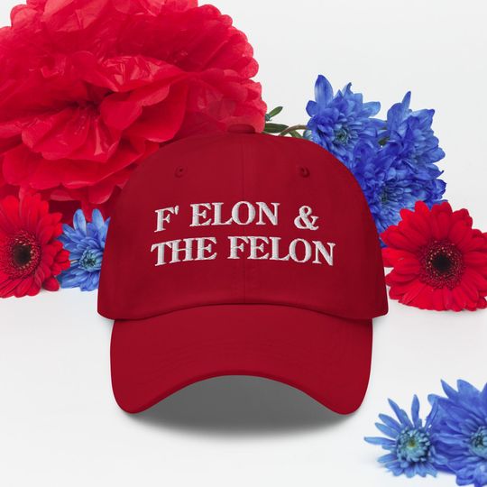 Discover Red hat, political hat, Anti-Elon, Anti-Trump hat