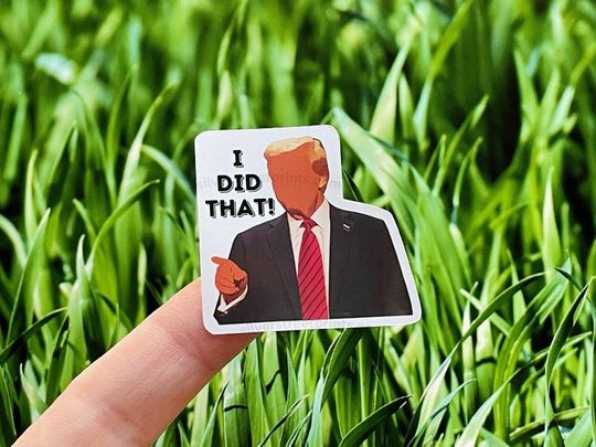 Discover I Did That! trump Stickers, Anti-Fascist Stickers