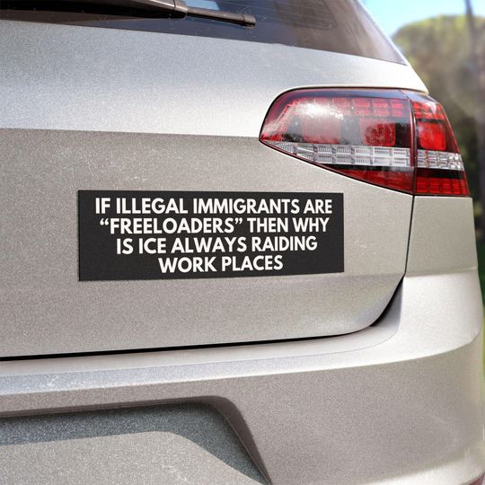 Discover F Trump F ICE Car Magnet Election Political Democrat Bumper Sticker Authoritarianism Anti-Trump