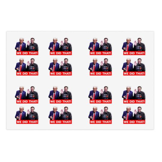 Discover Trump and Elon Did That Sticker