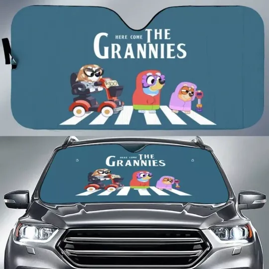 Discover Funny Blueyy Car Sun Shade, Blueyy Auto Sunshade Decor