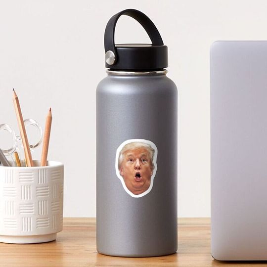 Discover Trump Sticker