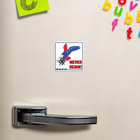Discover Never Again Eagle Magnet