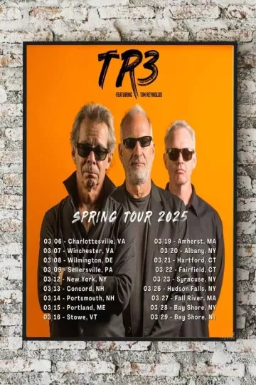 Discover Dave Matthews Band Spring 2025 Tour Dates poster