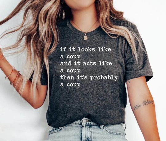 Discover Coup Shirt, Stop The Coup Tshirt, Stop DOGE Shirt