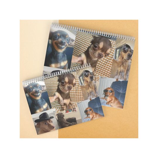 Discover Funny Dog Calendar, Automated Wall Calendar Funny Meme