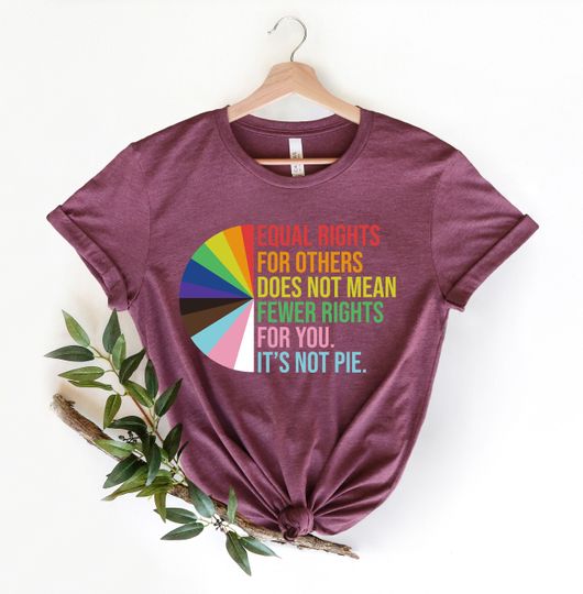 Discover Equal rights for others does not mean fewer rights for you Shirt, it not pie Shirt