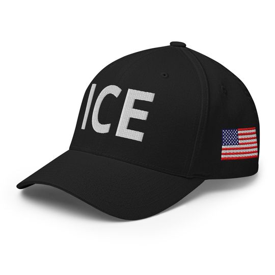 Discover ICE Hat, US Immigration and Customs Enforcement Agency Embroidered
