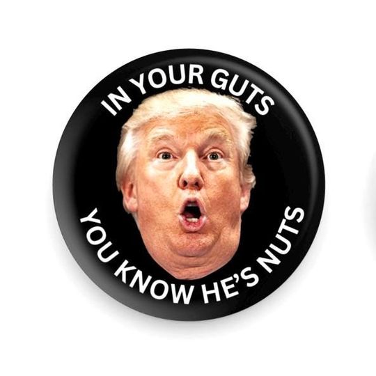 Discover Anti-Trump Pin, Donald Trump "Nutty" Political Pin Button