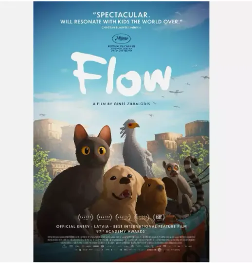Discover Flow 2024 Movie POSTER MADE IN USA