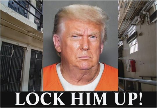 Discover Lock Him Up - Trump Mugshot in 2024 - Anti-Trump Yard Sign