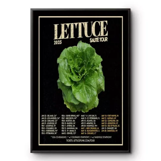 Discover Lettuce Saute Tour 2025 Poster