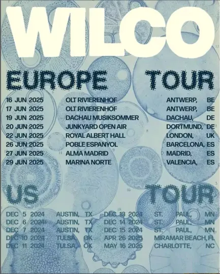 Discover Poster Wilco Europe & US Tour 2025 Poster