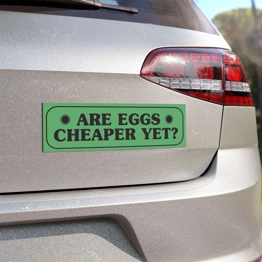 Discover Are Eggs  Yet Car Magnet, Funny Car Sticker, Funny Car Decal for Political Equality, Liberal Humor Decor