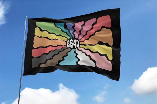 Discover 8647 Subtle Anti Trump Flag