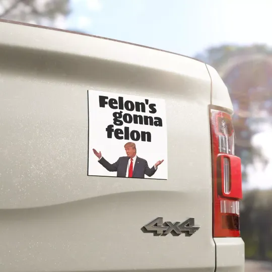 Discover Car Magnet, Anti Trump, Anti DOGE, Political Car Decal, Felon's gonna Felon Sign