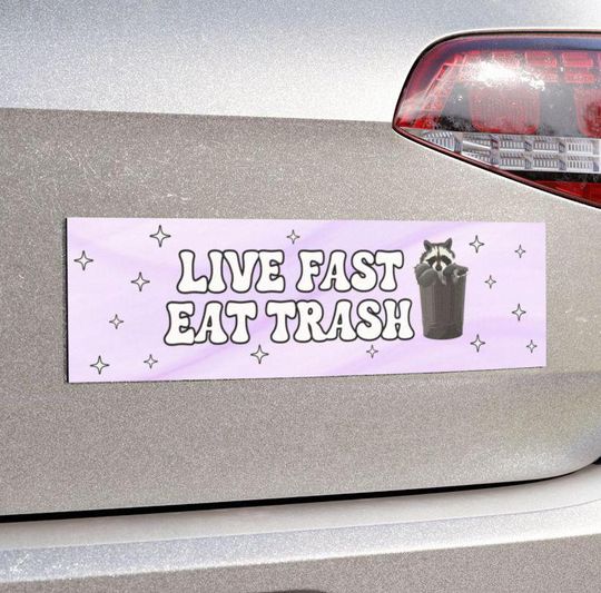 Discover Live Fast Eat Trash Funny Raccoon Car Magnet