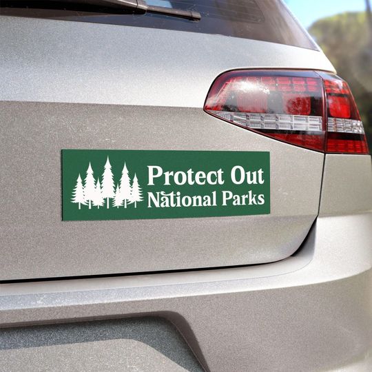 Discover Anti-MAGA, political Car Magnet