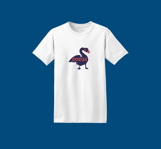 Discover Goose The Band T-Shirt, Gift for Music Fan