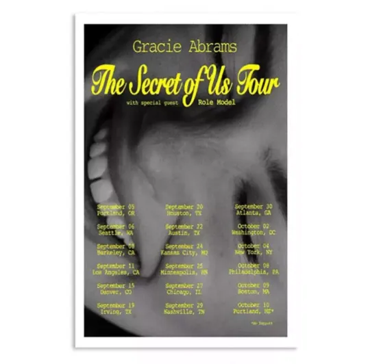Discover Gracie Abrams The Secret Of Us Tour 2024 Poster