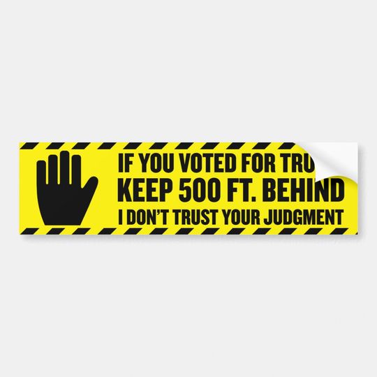 Discover If You Voted For Trump 2024 Anti-Trump Bumper Sticker